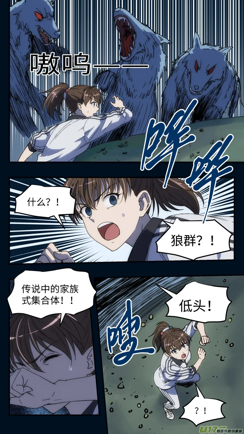 17 抢旗子 第5页