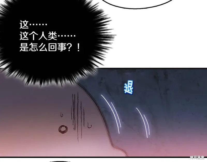 第52话 第43页
