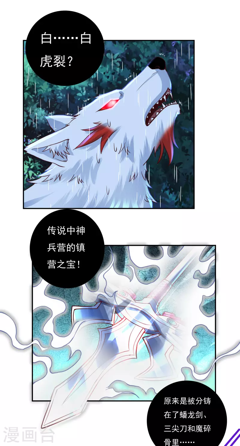 第67话 白虎裂 第17页