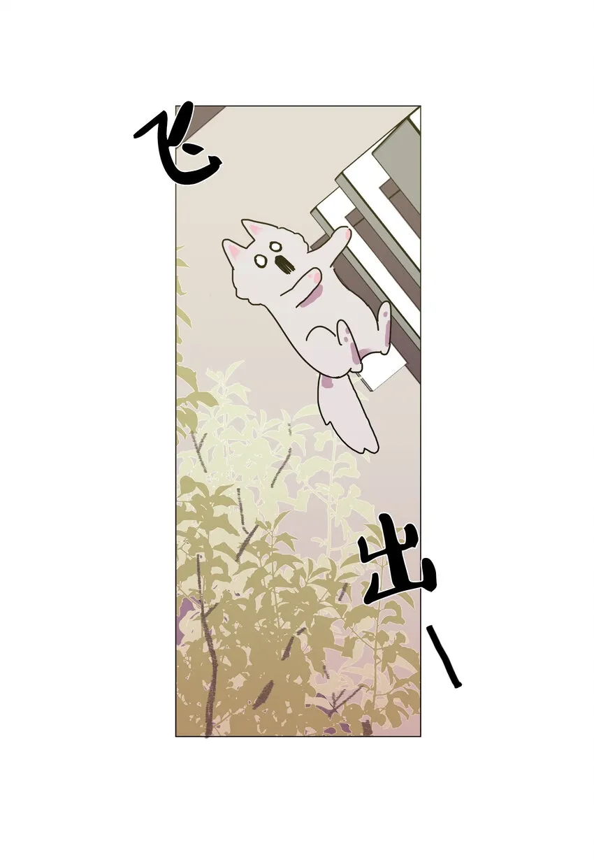 01 长相给我带来的烦恼 第85页