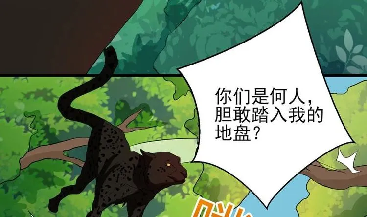 第26话 黑豹出没 第34页