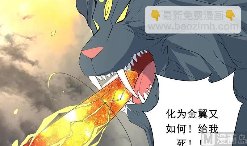 第171话 枭雄的陨落 第12页