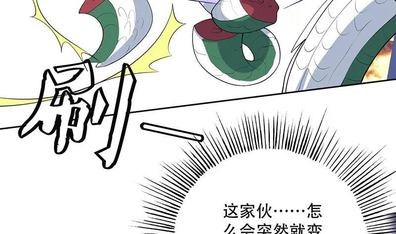 第216话 破碎的元灵 第5页