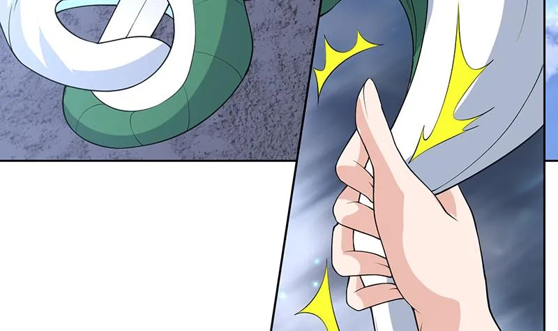 第216话 破碎的元灵 第13页