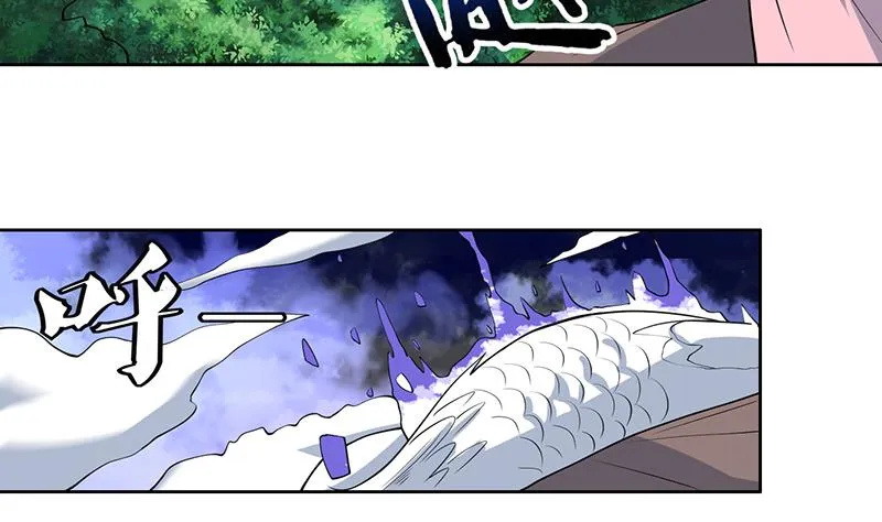 第216话 破碎的元灵 第23页