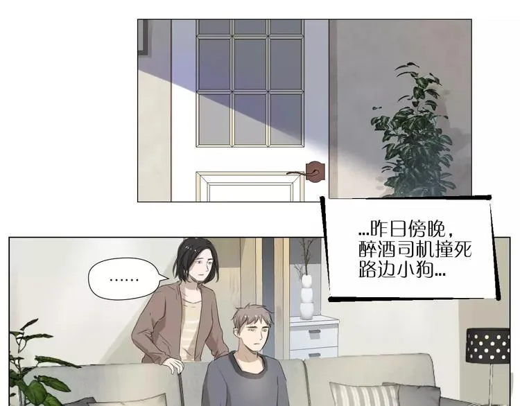 闵敢【奇奇】 第17页