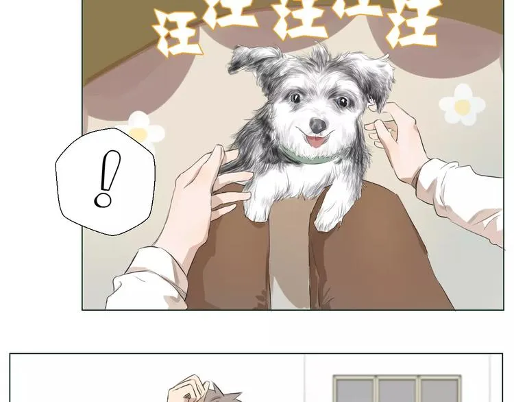 闵敢【奇奇】 第35页