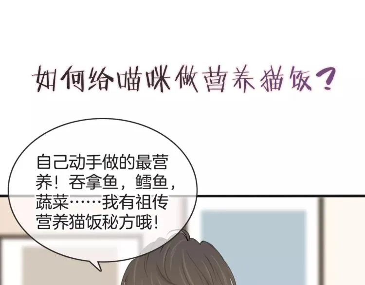 菲斯娜Feisna【猫说鱼】 第1页