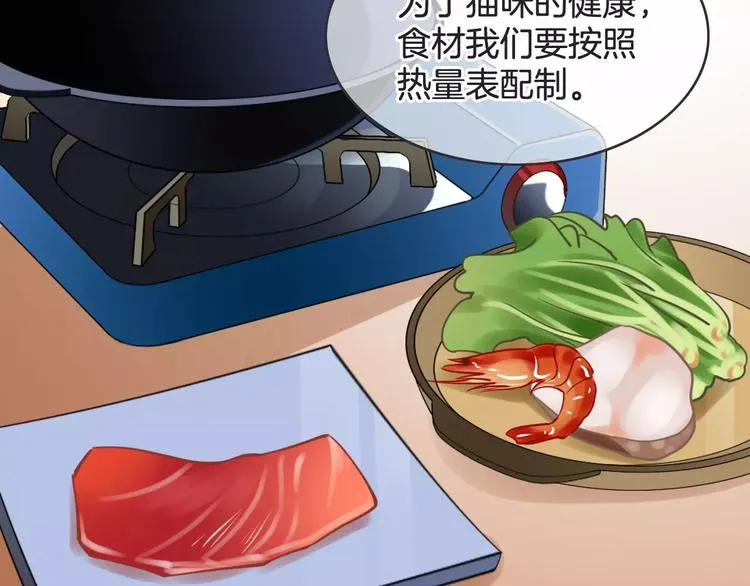 菲斯娜Feisna【猫说鱼】 第3页