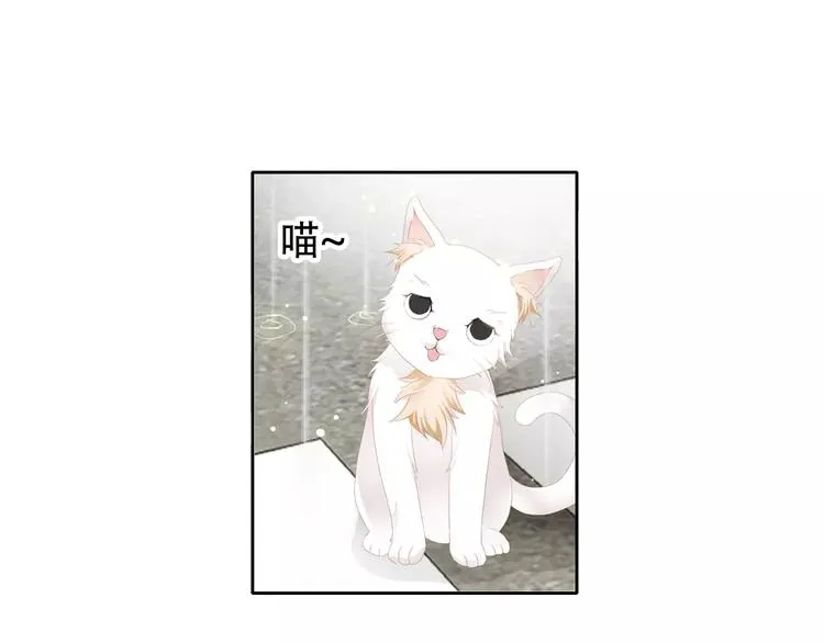 札雅【精灵宝盒】 第1页
