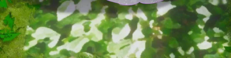 第200话 誓言 第31页