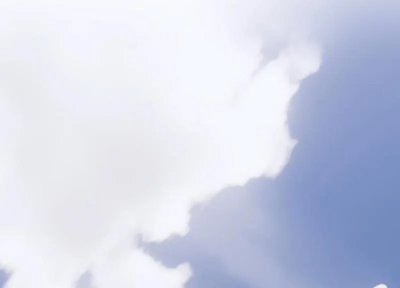 第206话 有恢复的机会？！ 第29页