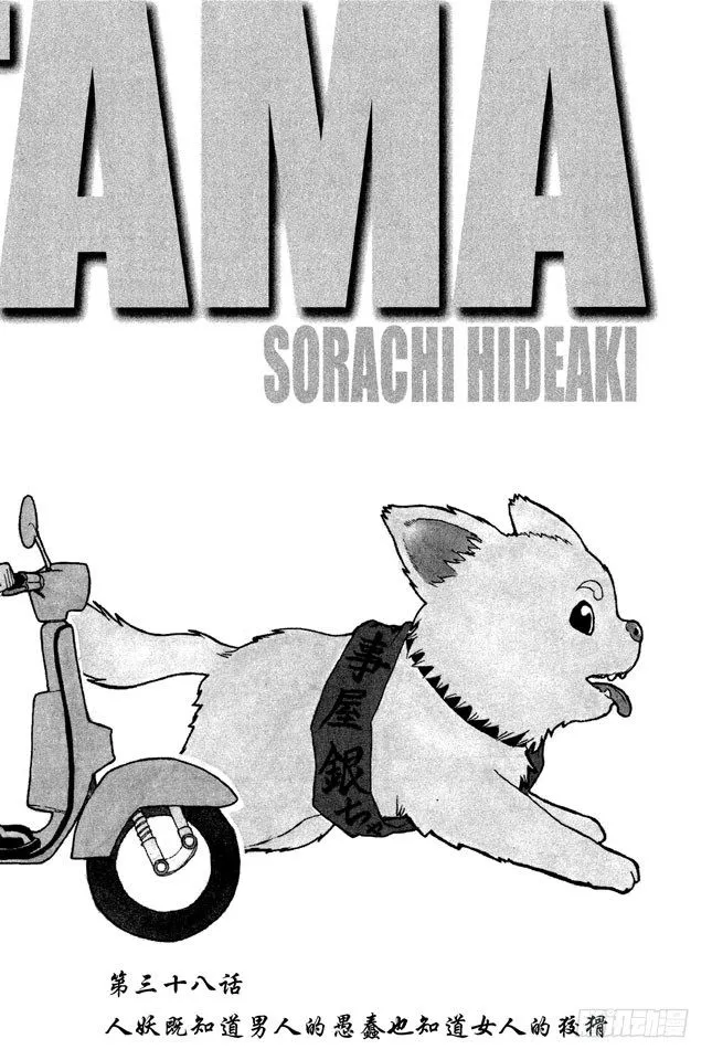 第38话 人妖既知道男人的愚蠢也知道女人的狡猾 第1页