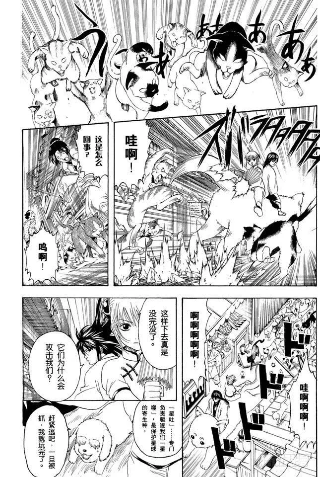 第208话 爱猫与爱狗之人是水火不相容的 第4页