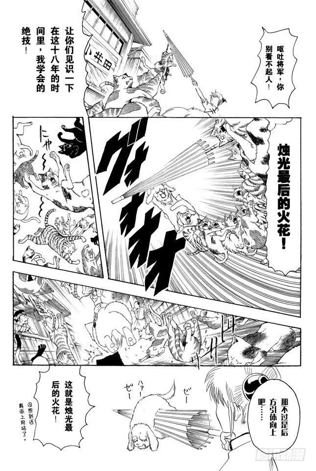 第208话 爱猫与爱狗之人是水火不相容的 第8页