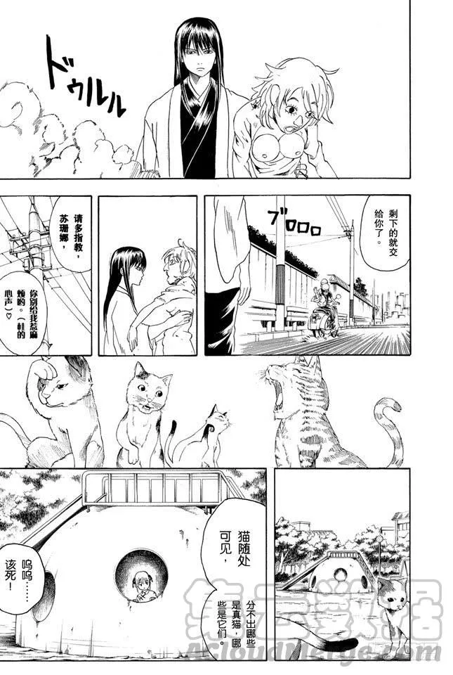 第208话 爱猫与爱狗之人是水火不相容的 第11页