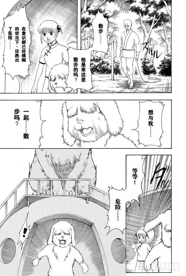 第208话 爱猫与爱狗之人是水火不相容的 第19页