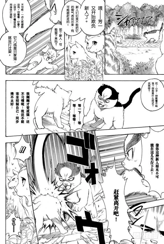 第275话 找东西的时候应该站在对方的立场，设身处地地找 第12页