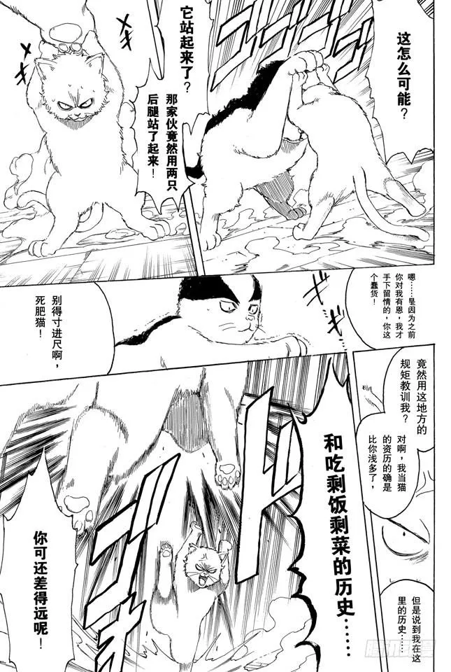 第275话 找东西的时候应该站在对方的立场，设身处地地找 第13页