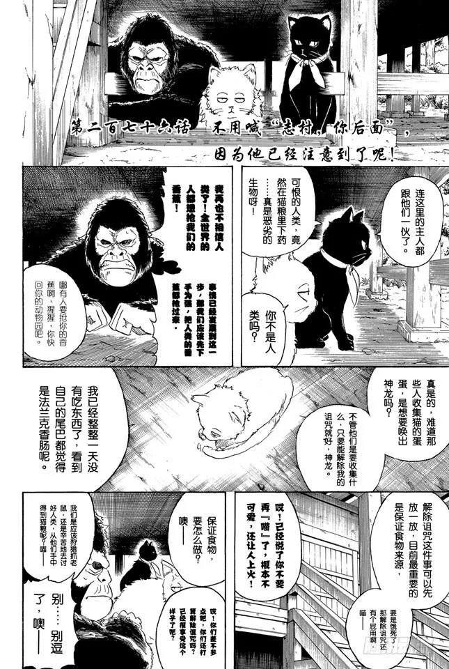 第276话 不用喊“志村，你后面”，因为他已经注意到了呢！ 第2页
