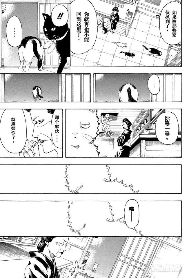 第276话 不用喊“志村，你后面”，因为他已经注意到了呢！ 第19页