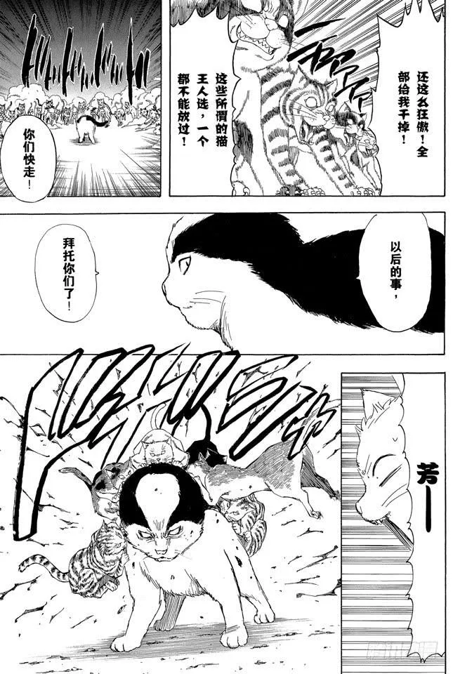 第277话 所谓自由并不是无法无天，而是按照自己的规矩去做 第17页