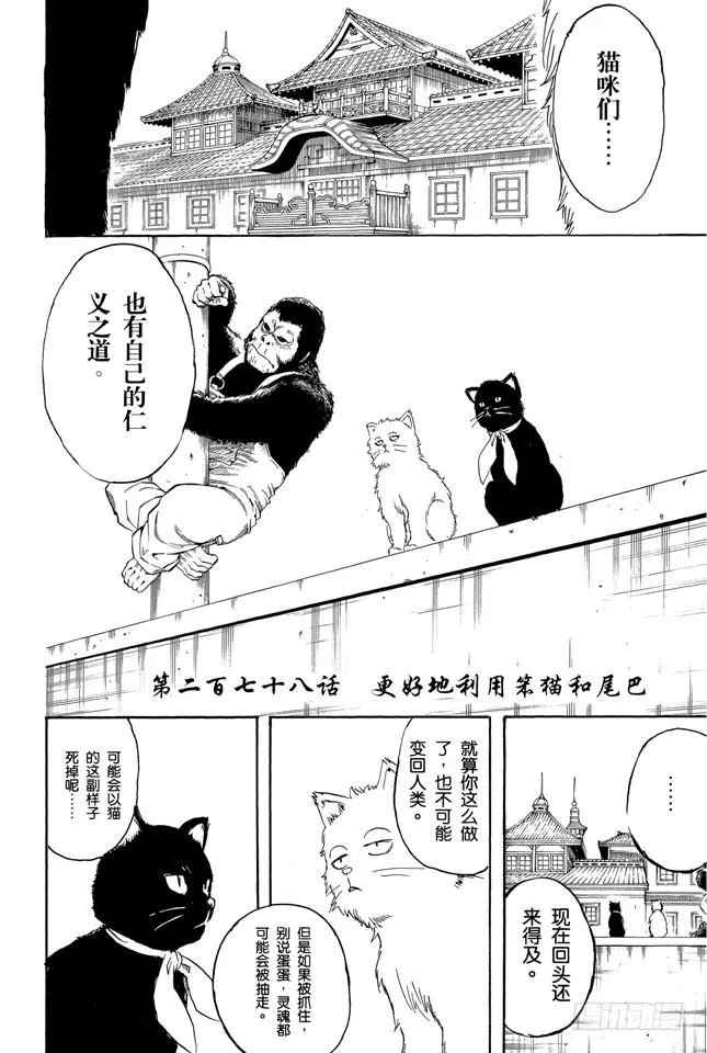 第278话 更好地利用笨猫和尾巴 第4页