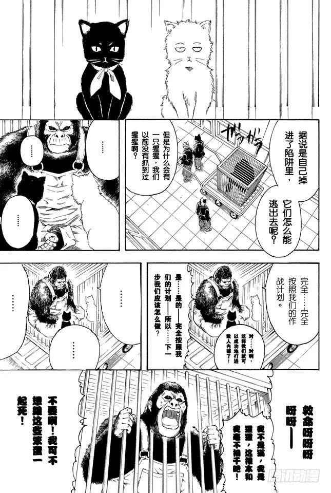 第278话 更好地利用笨猫和尾巴 第7页