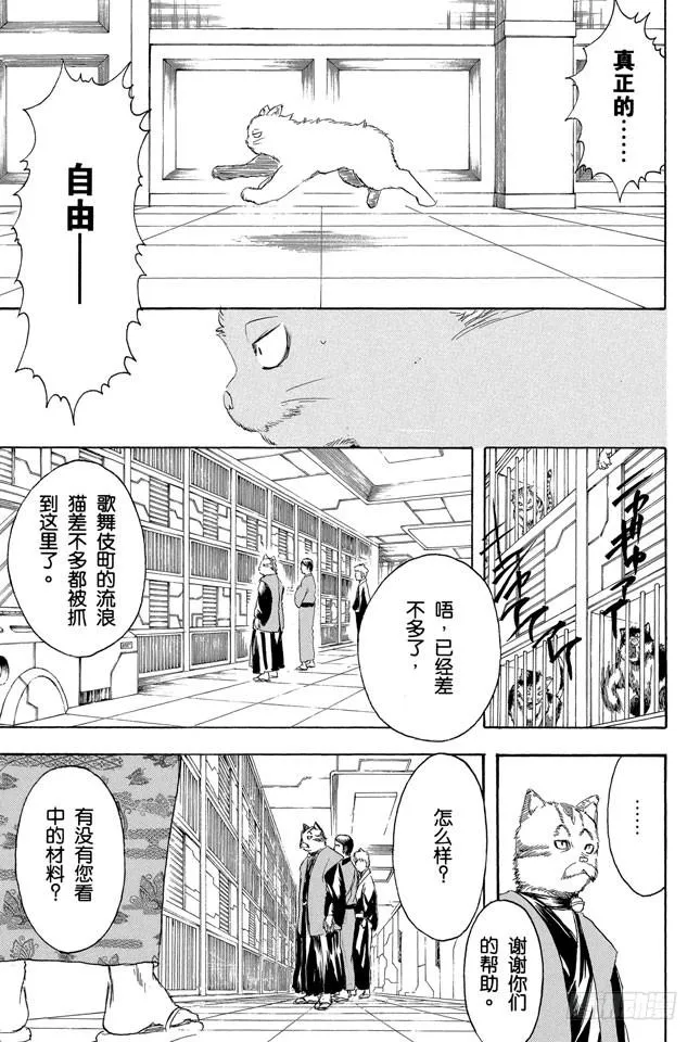 第278话 更好地利用笨猫和尾巴 第13页