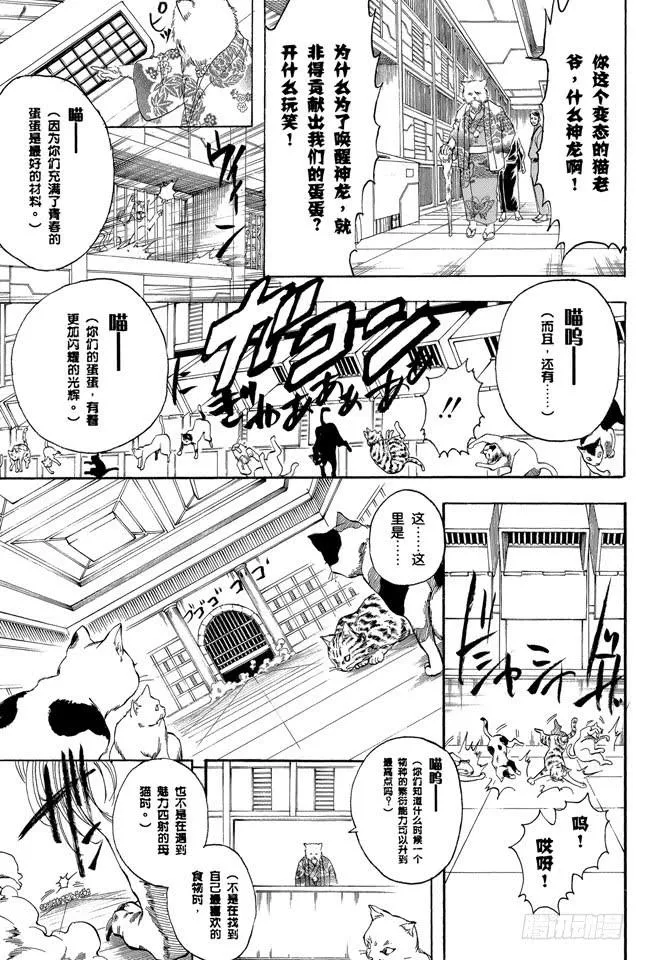 第278话 更好地利用笨猫和尾巴 第17页