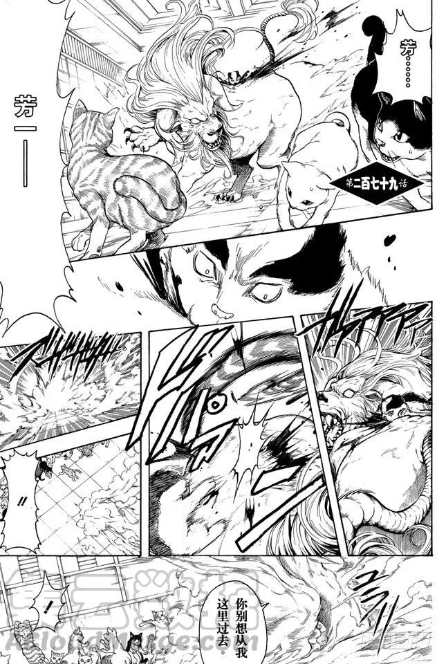 第279话 野猫哀歌 第1页