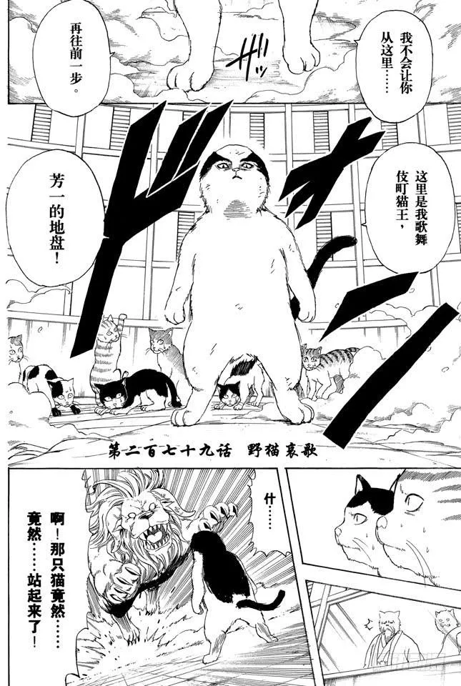 第279话 野猫哀歌 第2页