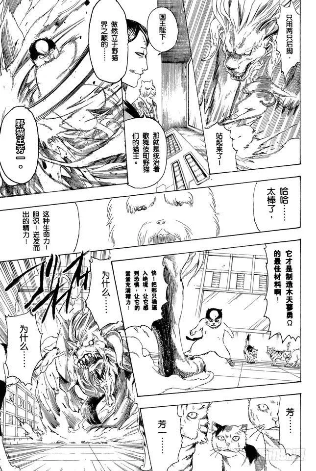 第279话 野猫哀歌 第3页