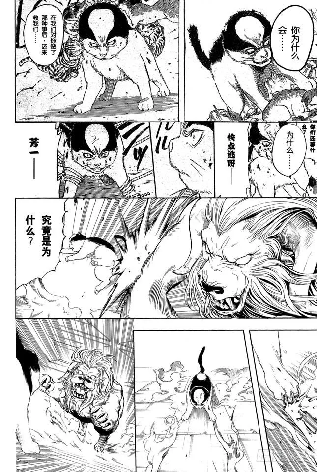 第279话 野猫哀歌 第4页