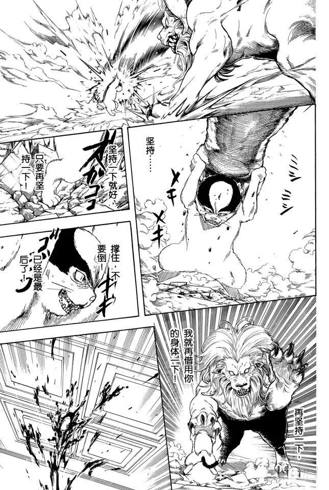 第279话 野猫哀歌 第5页