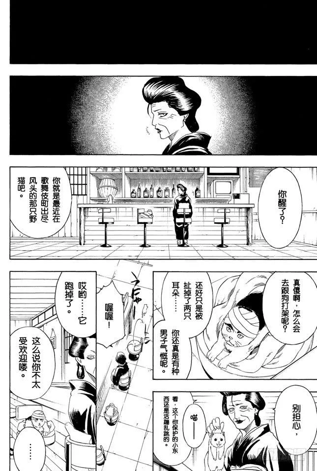 第279话 野猫哀歌 第6页