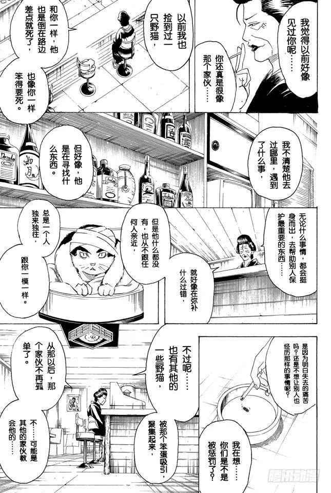 第279话 野猫哀歌 第7页