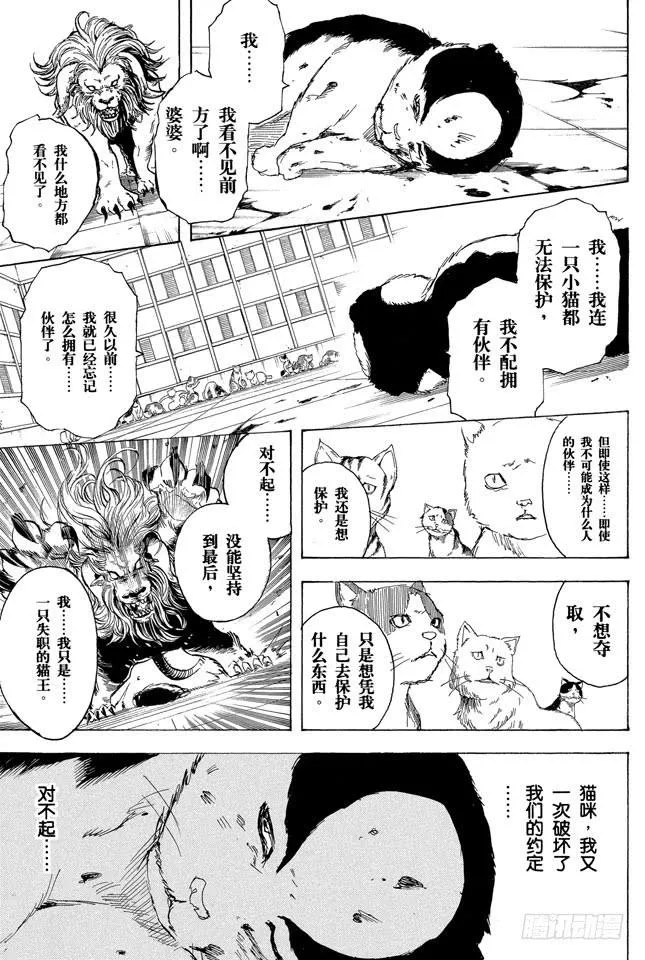 第279话 野猫哀歌 第9页