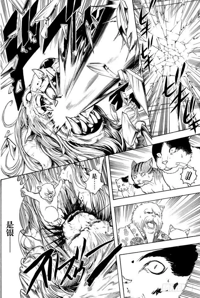 第279话 野猫哀歌 第10页