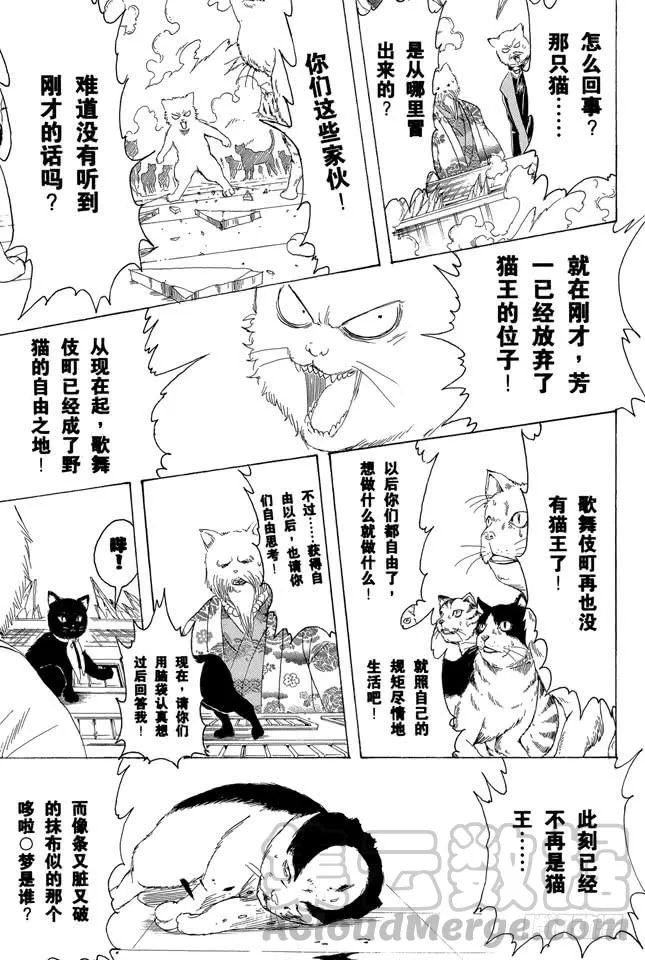 第279话 野猫哀歌 第11页