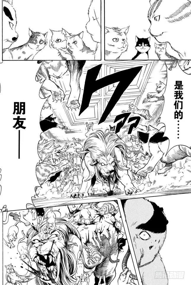第279话 野猫哀歌 第12页