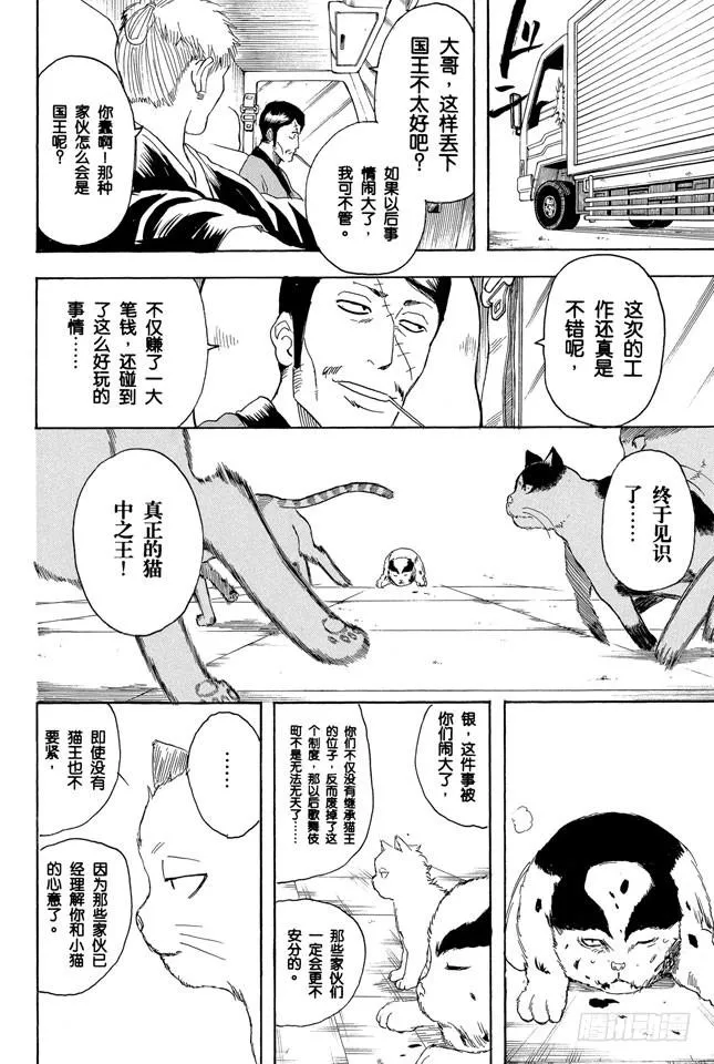 第279话 野猫哀歌 第14页