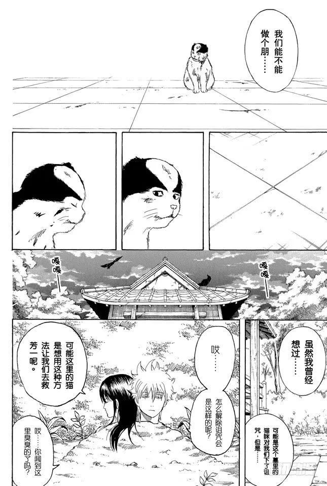 第279话 野猫哀歌 第16页