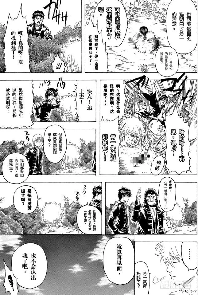 第279话 野猫哀歌 第17页