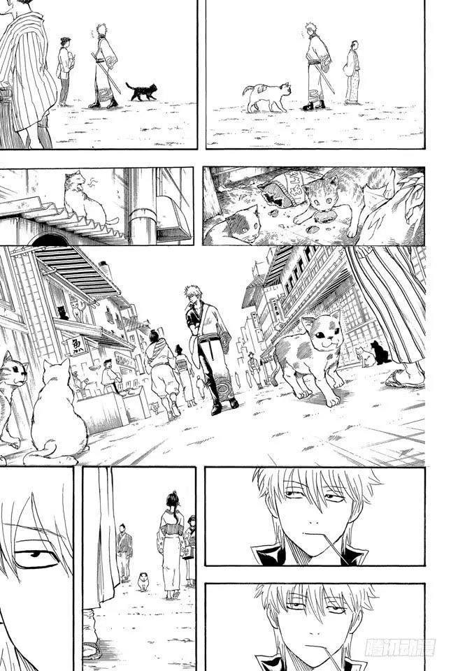第279话 野猫哀歌 第19页