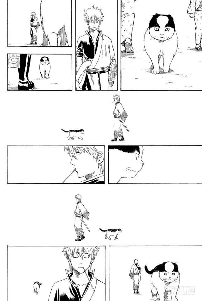 第279话 野猫哀歌 第20页