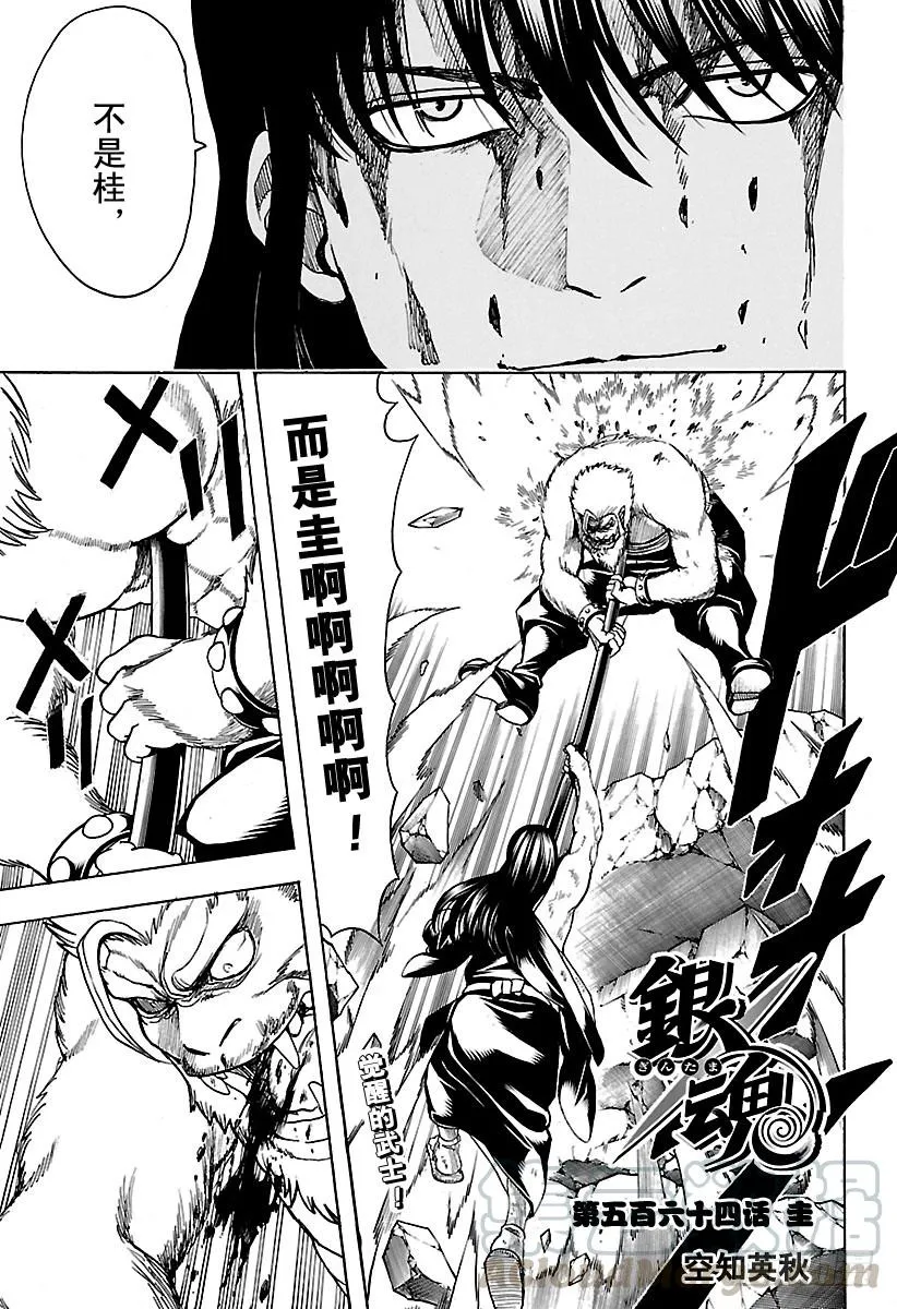 第564话 圭 第1页