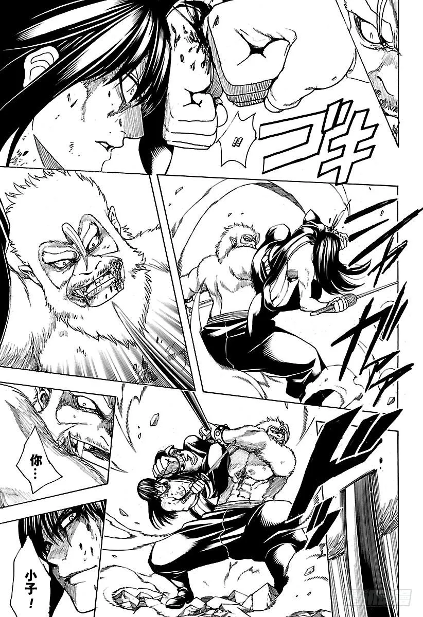 第564话 圭 第5页