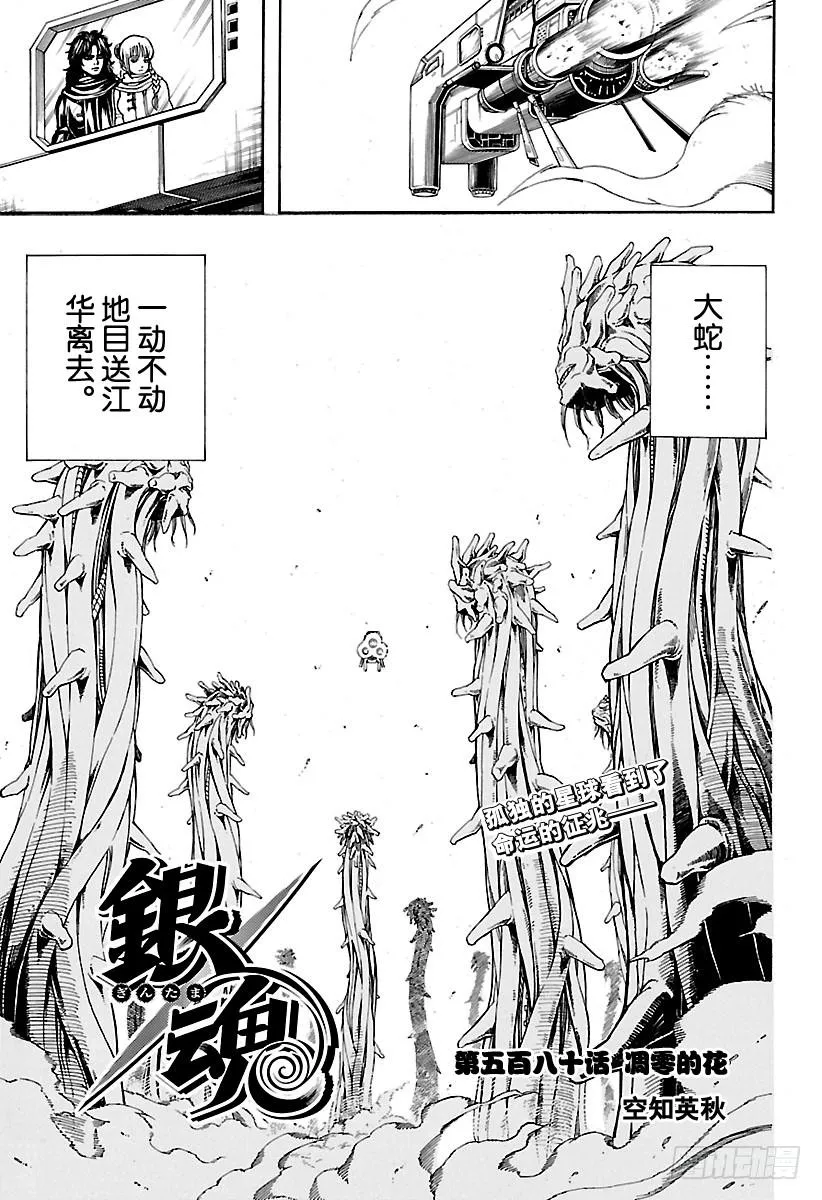 第580话 凋零的花 第5页