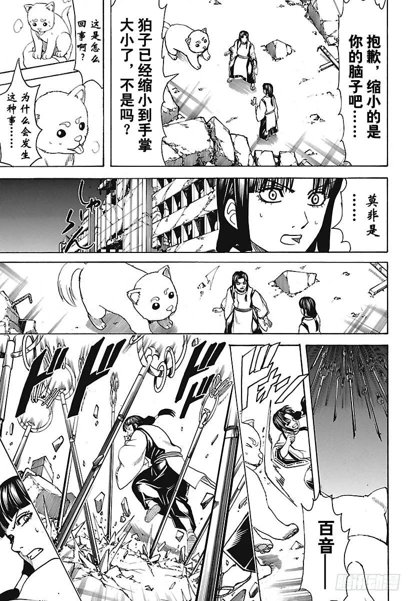 第654话 宠物还是小型的比较好 第7页